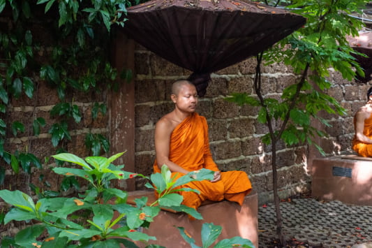 Monks cultivate emotional balance