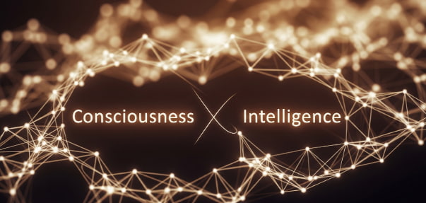 Interdependence Of Consciousness & Intelligence